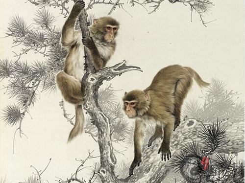 生肖猴本周综合生肖运势（2019.12.23-12.29）