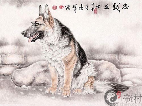 生肖狗本周综合生肖运势如何（2020.3.16-3.22）