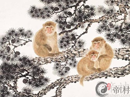 生肖猴本周生肖综合运势如何（2020.7.20-7.26）
