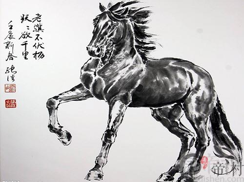 生肖马本周综合生肖运势如何（2020.7.6-7.12）