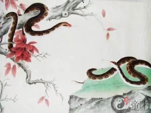 生肖蛇本周生肖运势如何（2020.4.27-5.3）