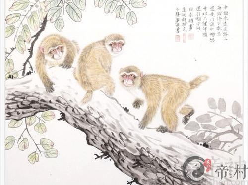 生肖猴本周综合生肖运势如何（2020.5.11-5.17）