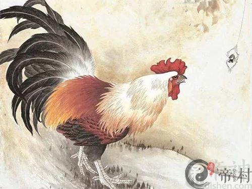 生肖鸡本周生肖运势如何（2020.6.29-7.5）