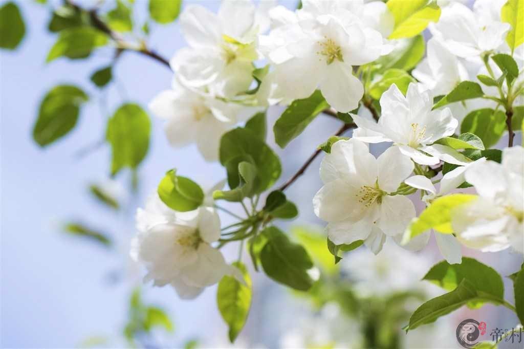 2019年9月属猪的能遇上贵人吗， 如何提升贵人运