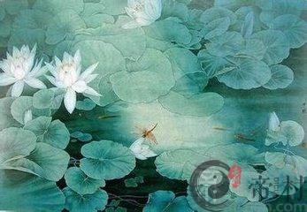 妈妈属狗爸爸属猴生猪宝宝好不好