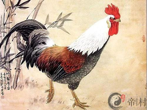 生肖鸡本周综合生肖运势如何（2020.9.28-10.04）