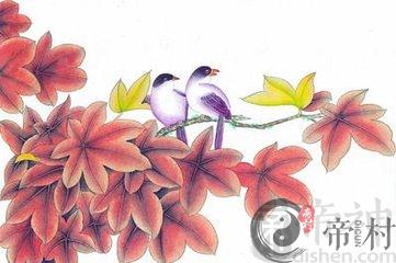 妈妈属兔爸爸属羊生猪宝宝如何
