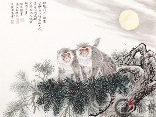 生肖猴本周综合生肖运势如何（2020.11.30-12.6）