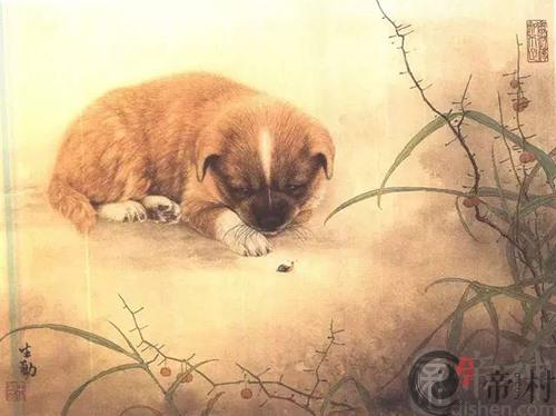 生肖狗本周综合生肖运势如何（2021.1.25-1.31）