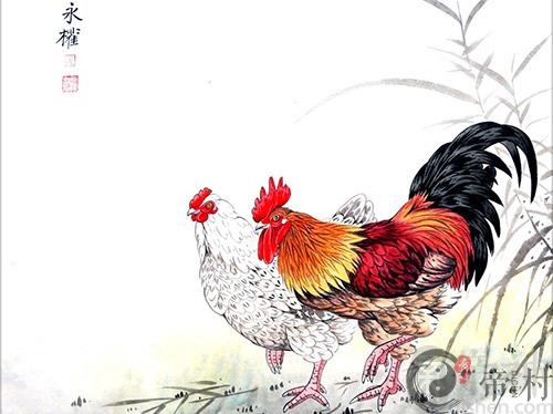 生肖鸡本周的综合生肖运势如何（2020.11.02-11.08）