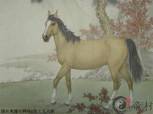 十二生肖运势：属马本周生肖运势（2021.5.31-6.6）