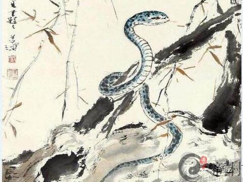 生肖蛇本周综合生肖运势如何（2021.4.19-4.25）