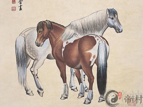 属马的今年多大，2021年属马人的全年运势