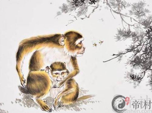 生肖猴本周整体生肖运势（2019.11.18-11.24）