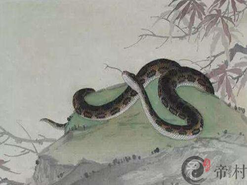生肖蛇本周生肖运势提示（2019.5.27-6.2）