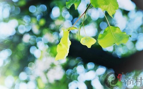 生肖马本周（3.7—3.13）运势获悉