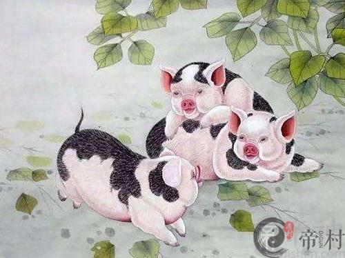 生肖猪本周综合生肖运势如何（2020.7.13-7.19）