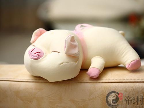 生肖猪最向往的工作是什么