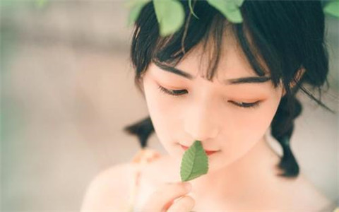 房产中介公司起名
