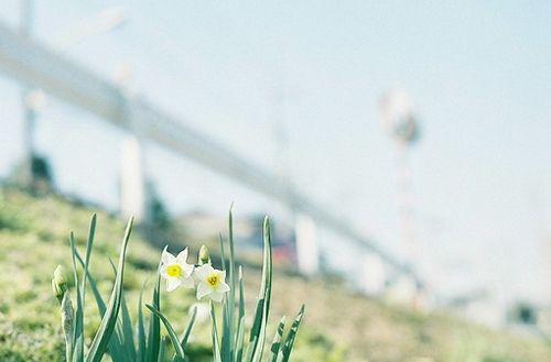 姓卫可爱的男孩名字大全