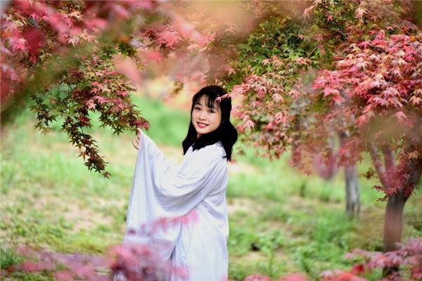 唯美的微信名字大全