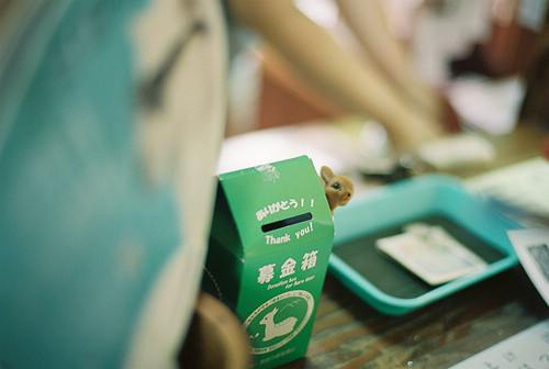 竺姓男孩名字大全属猪
