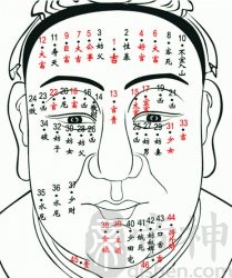 全身痣相图解（经典版）