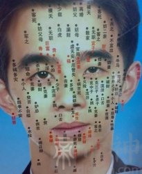 《麻衣神相》痣相全解