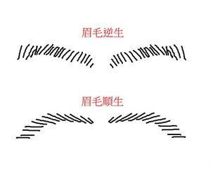 面相看你是招贵人还是招小人