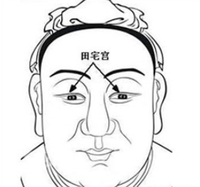 面相田宅宫代表着什么