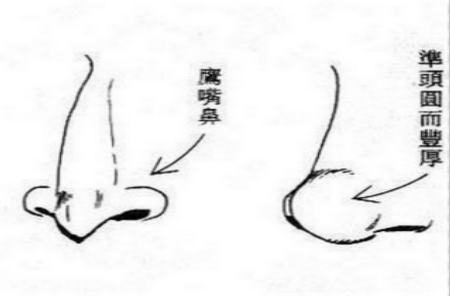 鼻子反映女人善恶