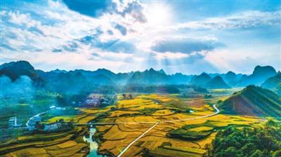 灯塔哪里算命准