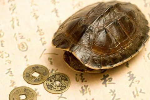 从命理格局看你的才华能力够不够出众