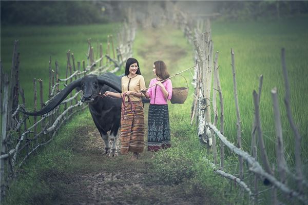 女人哪些八字注定一生漂亮有魅力