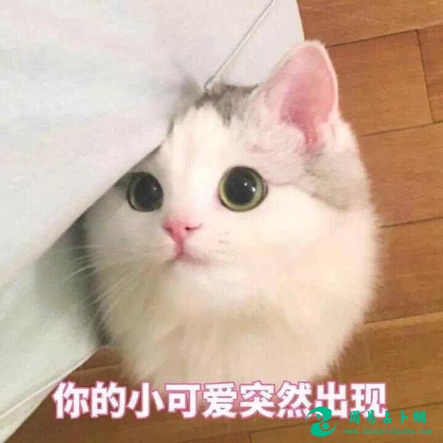 有钱人的八字都有这个：天乙贵人=财星？｜八字论神煞篇