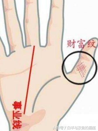 土豪命的手相