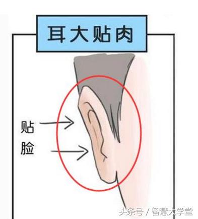 年纪轻轻就能有大作为的面相