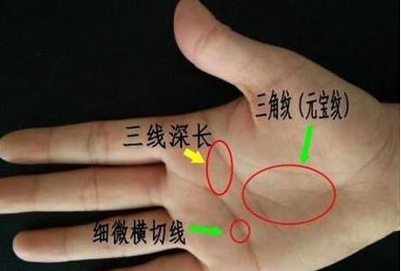 富裕之人的手相，注定是有钱人