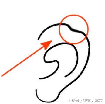 有这种面相的男人，必定出人头地，大富大贵