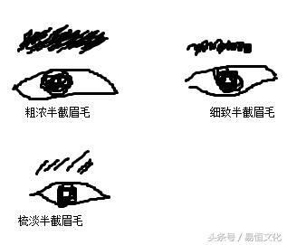 半截眉毛面相性格，短眉毛面相怎么看