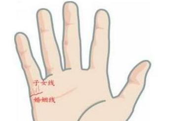 头胎生女，二胎必生男，子孙孝顺，注定能享受天伦之乐的手相