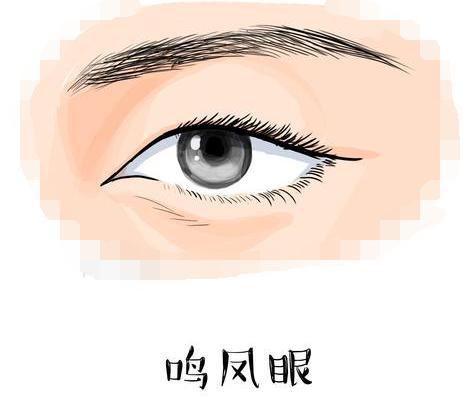 这种面相的人，天生富贵命，一生享福不尽