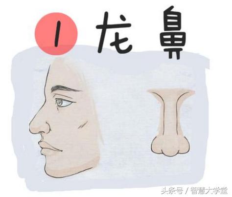 这种面相的人，乃人中龙凤，注定一生钱财不缺，富得流油