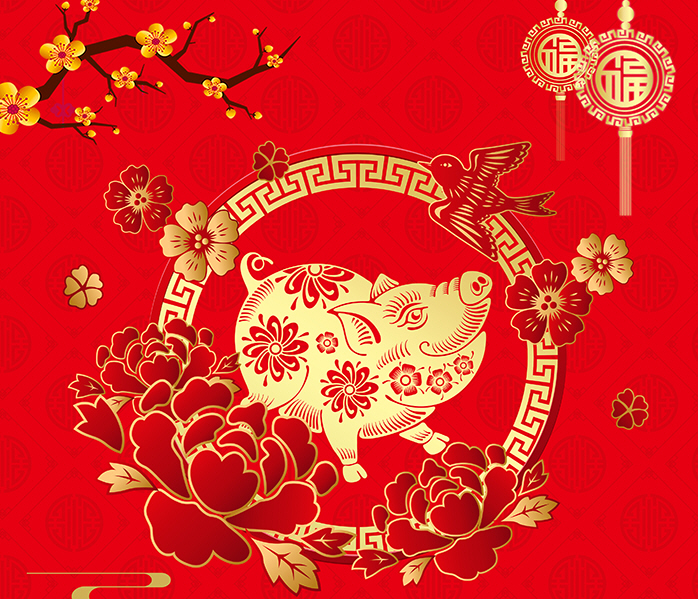 2019年几月份出生的猪宝宝命最好？