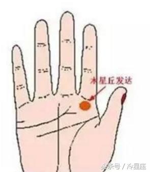 天之骄子的手相，此生必定大富大贵