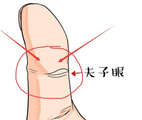 凤眼纹，好命之人的手相，此生必定能大富大贵