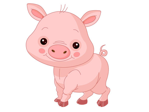 2019年出生的孩子是什么命