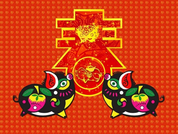 2019猪年，都有哪些人真正犯太岁？