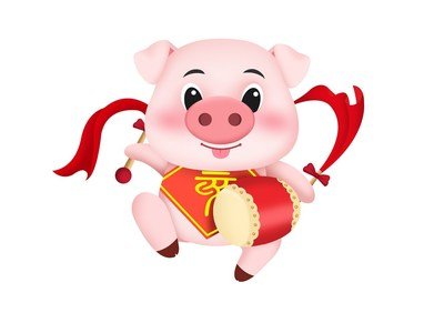 1995年10月出生的属猪人是什么命，命理分析