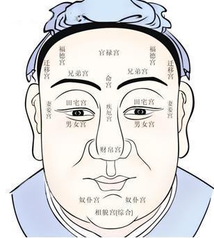 金口直断——你知道吗？如果你的额头够高，可以少奋斗20年